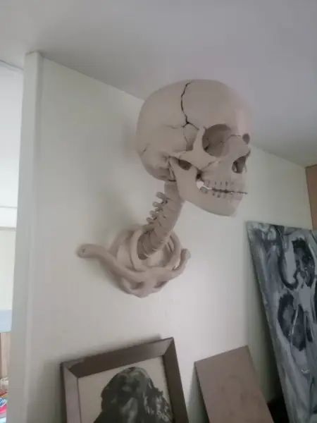 Spine wall mount for human skull