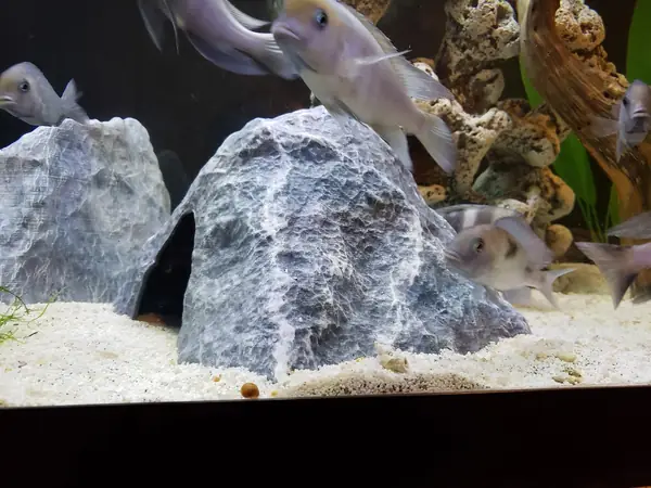 Aquarium Decoration - Textured Rock Cave - Large Tented