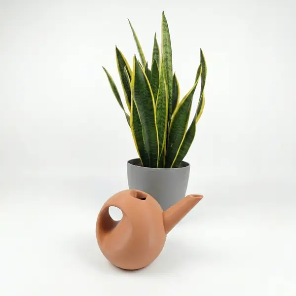 Watering can