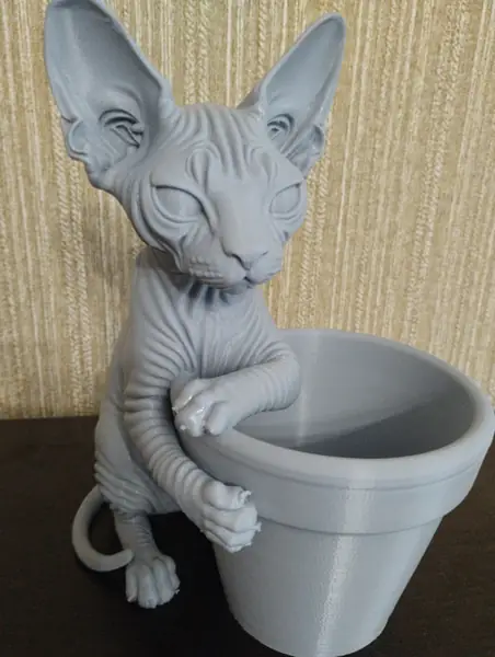 Flowerpot - Sphynx cat